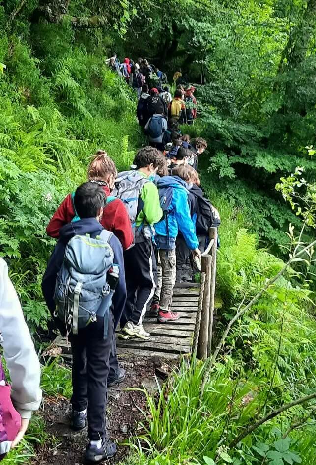 VIA XXIV proyectos ambientales